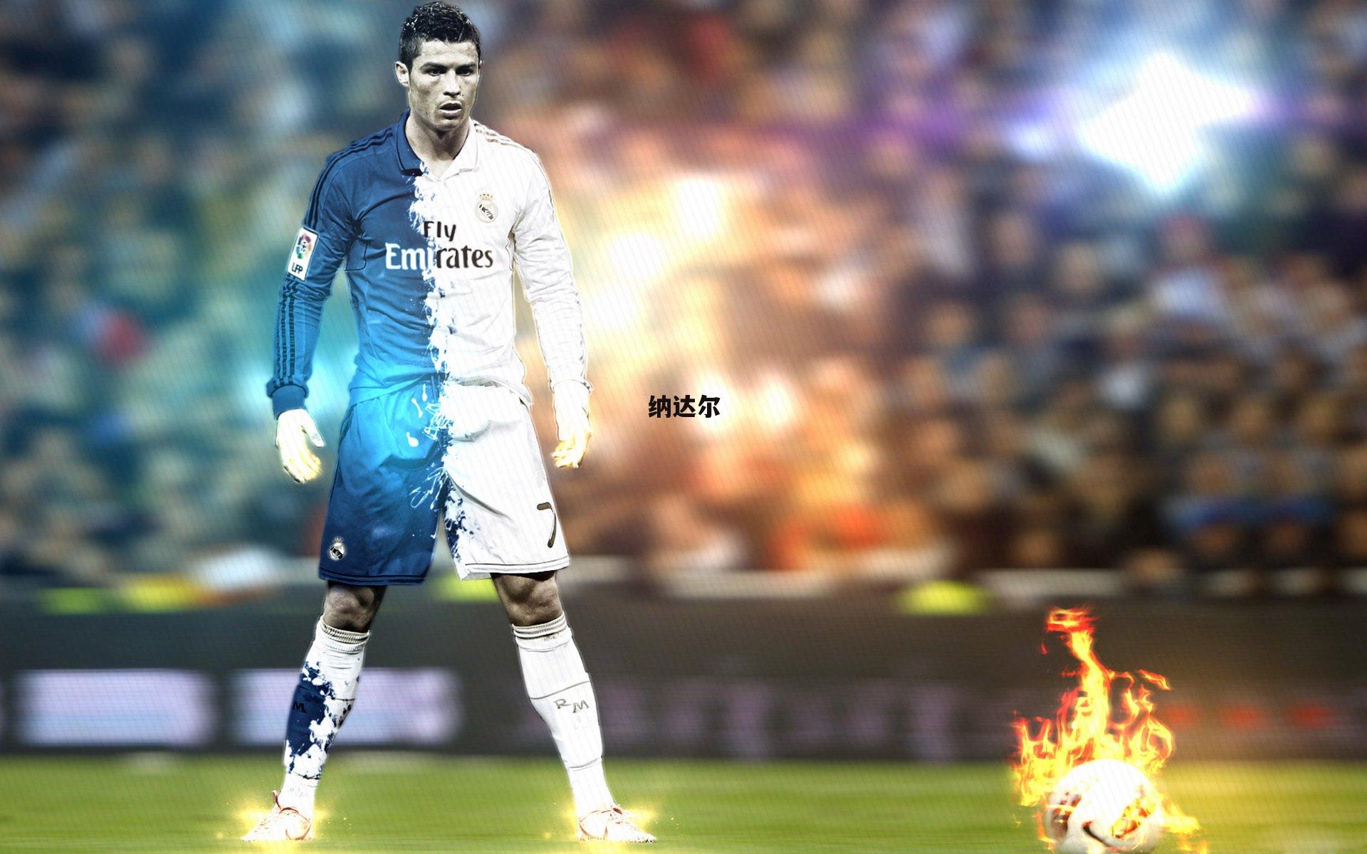 【杏彩体育入口】纳达尔