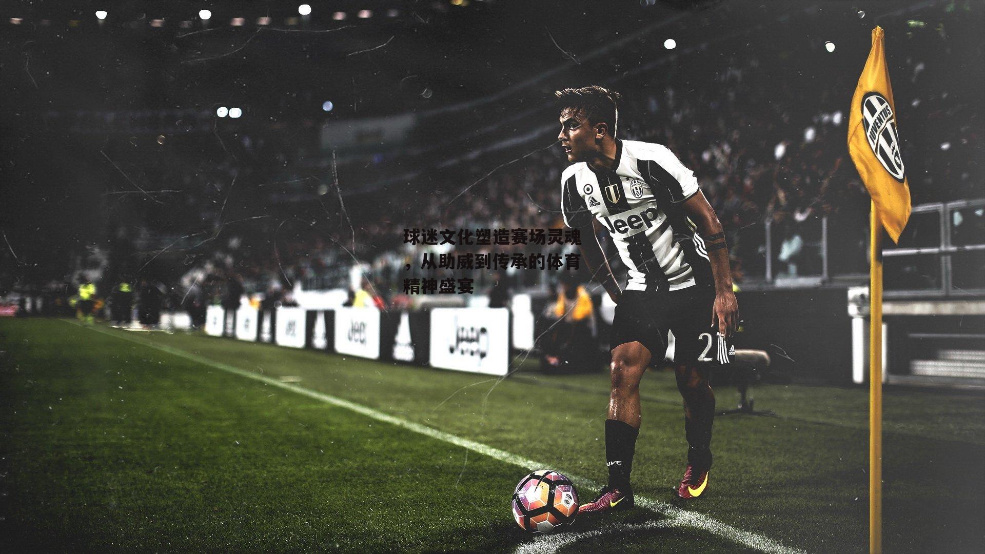 球迷文化塑造赛场灵魂，从助威到传承的体育精神盛宴